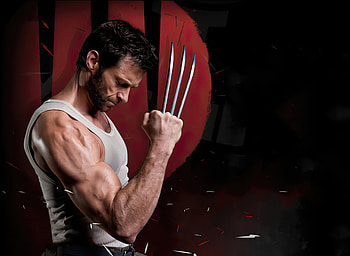 Wolverine Hugh Jackman 2020, wolverine, superheroes, movies HD wallpaper