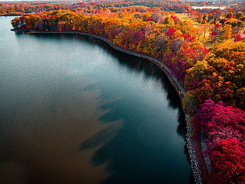 Autumn Lake Boundary Path, autumn, lake, nature HD wallpaper