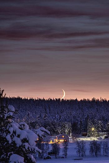 Winter, Nature, Night, Moon, Snow, Forest, Small House, Lodge HD phone wallpaper