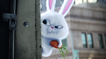 Bunny The Secrete Life of Pets Movie, the-secret-life-of-pets, movies, animated-movies, cartoons HD wallpaper