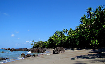 Nature, Stones, Sky, Beach, Sand, Palms, Shore, Bank, Tropics, Shadows, Clear, I See, Serenity HD wallpaper