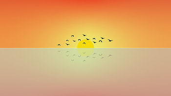 Birds Flying Sun Minimal , birds, artist, artwork, digital-art, minimalism, minimalist, dribbble HD wallpaper
