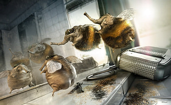 3D-BEE, graphic, shaving bee HD wallpaper