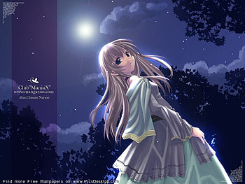 quiet evening, , girl, anime, evening HD wallpaper