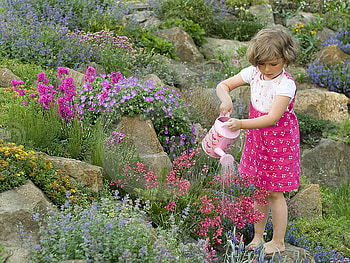 cute girl watering the flowers, watering, red, garden, flowers, girl HD wallpaper
