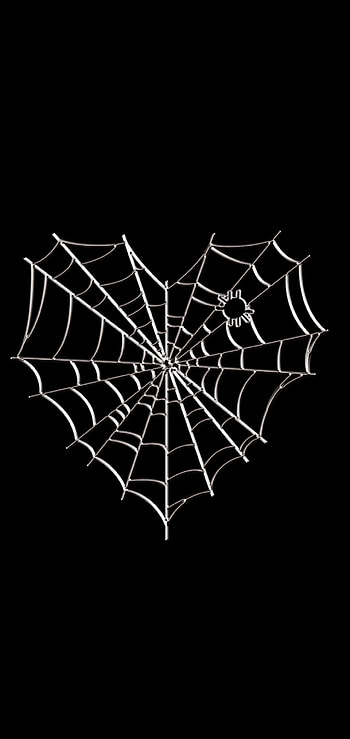 Web of Love, Spiderweb, spider, heart HD phone wallpaper