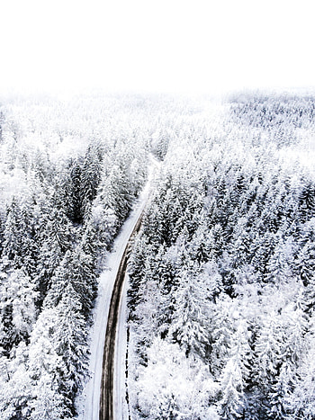 Winter, Nature, Snow, View From Above, Road, Forest HD phone wallpaper