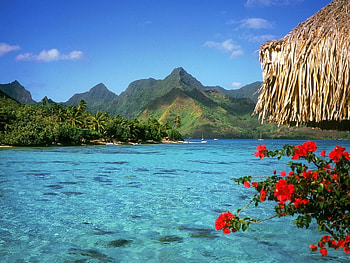 Landscape, Sea HD wallpaper