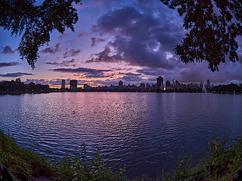 Nature, Water, Twilight, Waves, City, Branches, Dusk HD wallpaper