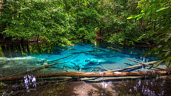 The Blue Pool, Krabi Province, Thailand, leaves, plants, trees, colors, bushes, water, rocks HD wallpaper