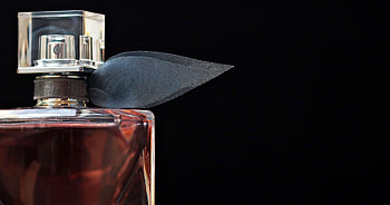 Top fragrance , Fragrance backgrounds, Stylish visuals, Aesthetic inspiration HD wallpaper