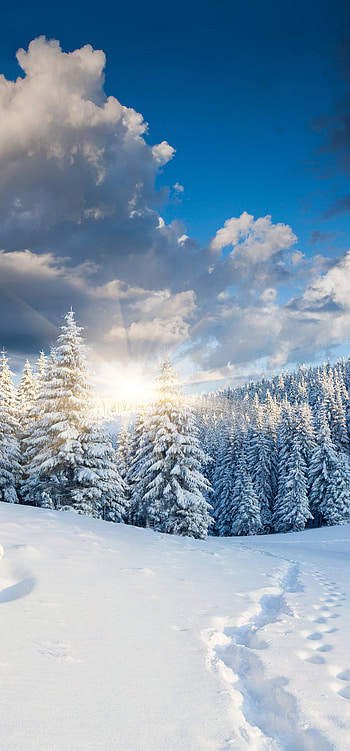 Samsung Galaxy Note 20 Ultra Background. Windows , 1440x3088 HD phone wallpaper