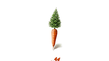 Grass, Minimalism, , Drawing, Carrot HD wallpaper