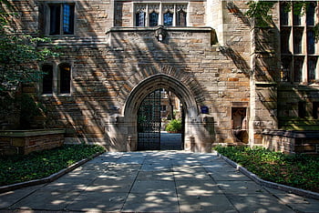 Gothic-style stone archway entrance at Yale University campus, surrounded by greenery. HD wallpaper