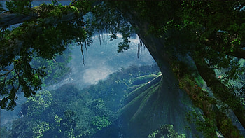 avatar neytiri angry | Movies | Pinterest | Avatar and Movie HD wallpaper