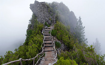 Stairway to Heaven?, nature, forest, stairway, mountain, clouds HD wallpaper
