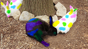 Which Bunny Started the Paint Ball War? :P :D, blue, tree trunk, bunnies, white, rabbits, bunny, purple, pink, bunnys, violet, green, yellow, ho1iday HD wallpaper
