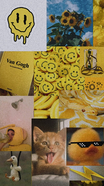 Fondo amarillo, aesthetic, naranjita HD phone wallpaper