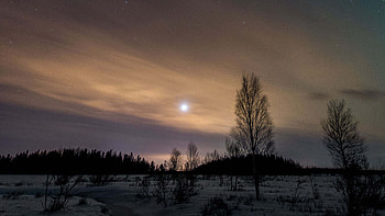 Beautiful Snow Field Trees Forest Under Starry Sky During Nighttime Nature HD wallpaper