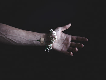 Flower, Hand, Minimalism, Plaster, Patch HD wallpaper