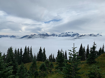 Landscape, Nature, Trees, Mountains, Clouds, Fog HD wallpaper