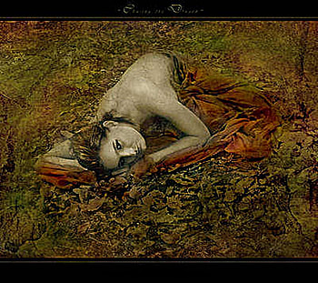 Rebirth From Mother Earth~, rebirth, birth, mother earth, fall HD wallpaper