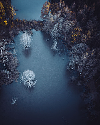 Nature, Trees, Autumn, View From Above, Lake, Frost, Hoarfrost HD phone wallpaper