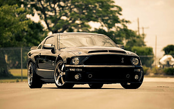 Transport, Auto, Mustang HD wallpaper
