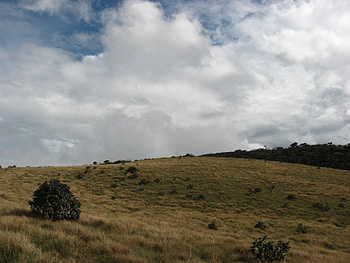 Horton Plains, plain, field, sky, beautiful, grass, bliss HD wallpaper