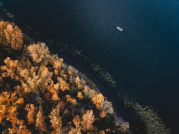 View From Above, Nature, Trees, Coast, Boat HD wallpaper