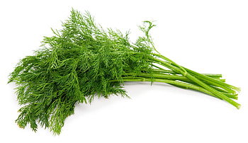 Online dill shopping, Herb's availability, Convenient purchase, Fresh culinary addition HD wallpaper