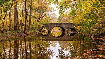 Beautiful Landscape View Of Bridge Green Yellow Leaves Trees Under Blue Sky Reflection On Water During Daytime Nature HD wallpaper