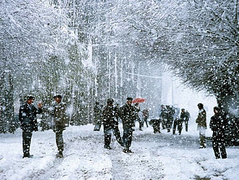 Snowstorm, winter, snow, people, storm HD wallpaper