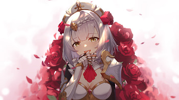 Noelle Red Roses White Background Genshin Impact HD wallpaper