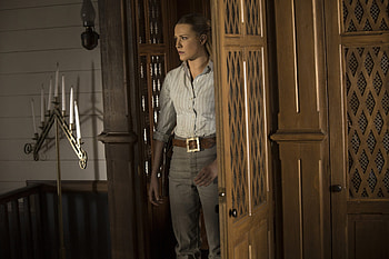 Who's Out Here . ., style, cowgirl, fun, TV, actors, ranch, blondes, girls, westworld, women, western, female HD wallpaper