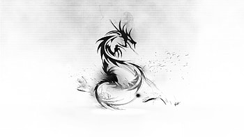 Black-And-White-Abstract---0.jpg HD wallpaper