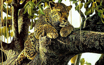 Animals, Art, Leopard, Drawing, , Predator HD wallpaper