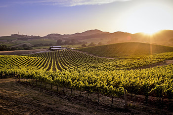 Napa and Sonoma travel, Lonely Planet guide, Wine country exploration, North America HD wallpaper