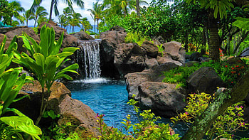 Waterfall Between Stone Rocks Pouring On Lake Surrounded By Green Trees Bushes Ocean Background Nature HD wallpaper