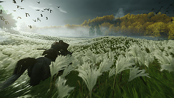 Ghost of Tsushima, Ghost of Tsushima HD wallpaper