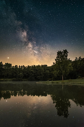 Holidays, Stars, Lake, Forest, Starry Sky, Nebula HD phone wallpaper