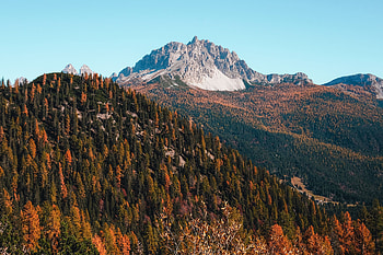 Nature, Trees, Mountains, Autumn HD wallpaper