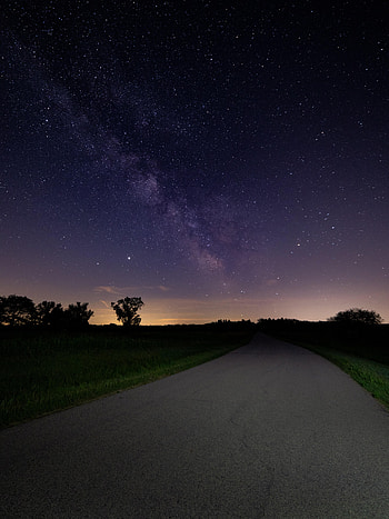Nature, Stars, Night, Bush, Road, Starry Sky HD phone wallpaper