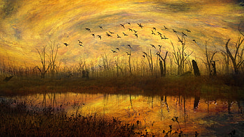 Flock of birds, Paint HD wallpaper