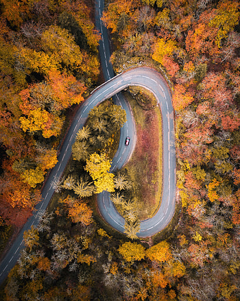 Nature, Trees, Autumn, View From Above, Road, Car HD phone wallpaper