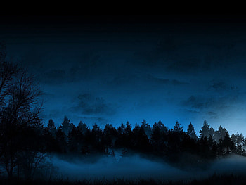 Trees, Night, Dark, Fog, Ate HD wallpaper