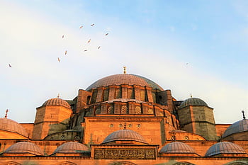 View of the Suleymaniye Mosque dome in Istanbul, Turkey, against a clear sky with birds flying. HD wallpaper