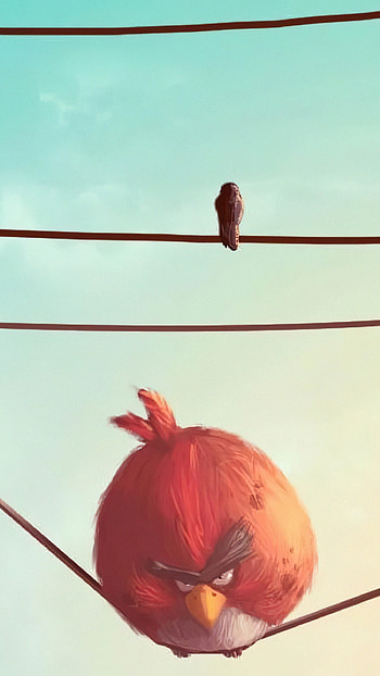 Angry Birds, Bird Art HD phone wallpaper