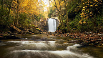 Waist Deep at Looking Glass Falls, North Carolina, leaves, colors, autumn, trees, rocks, forest, stones, river, fall, usa HD wallpaper