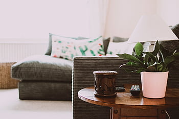 Warm and inviting living room featuring a cozy sofa, stylish decor, and natural light. HD wallpaper